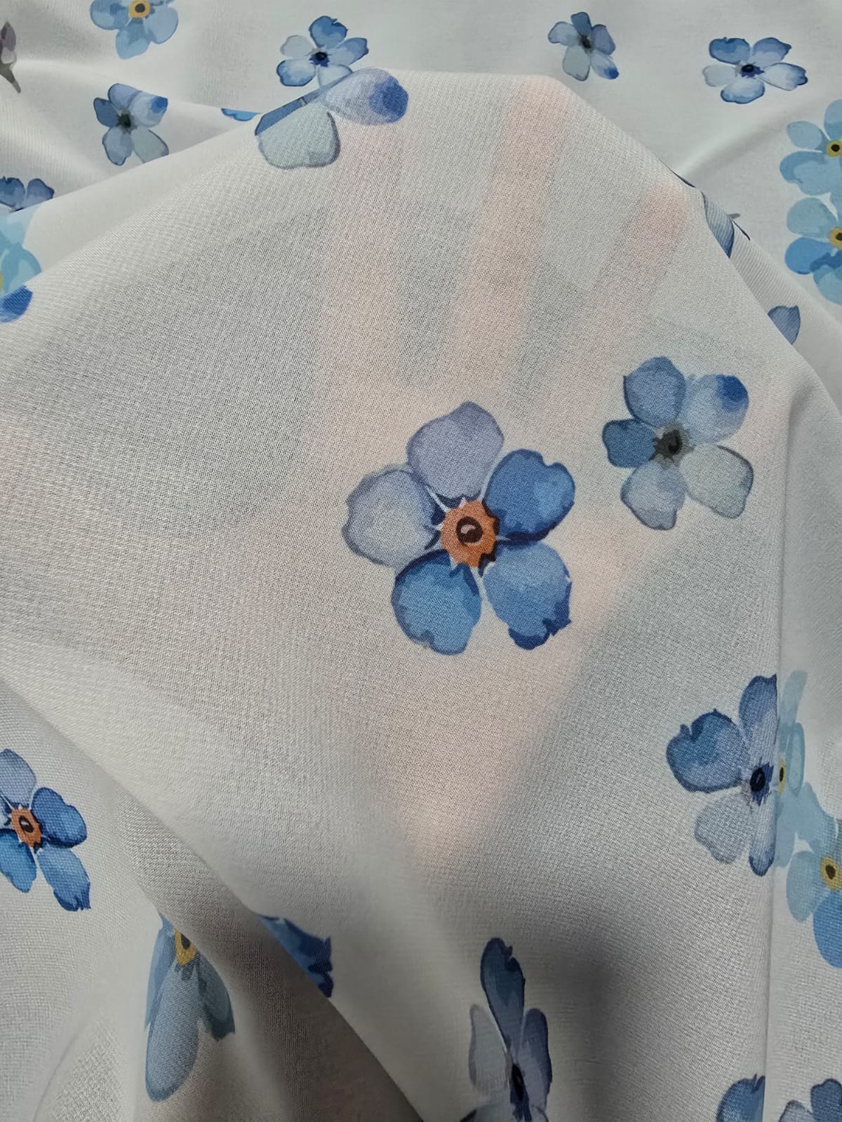 Cloudy Bloom